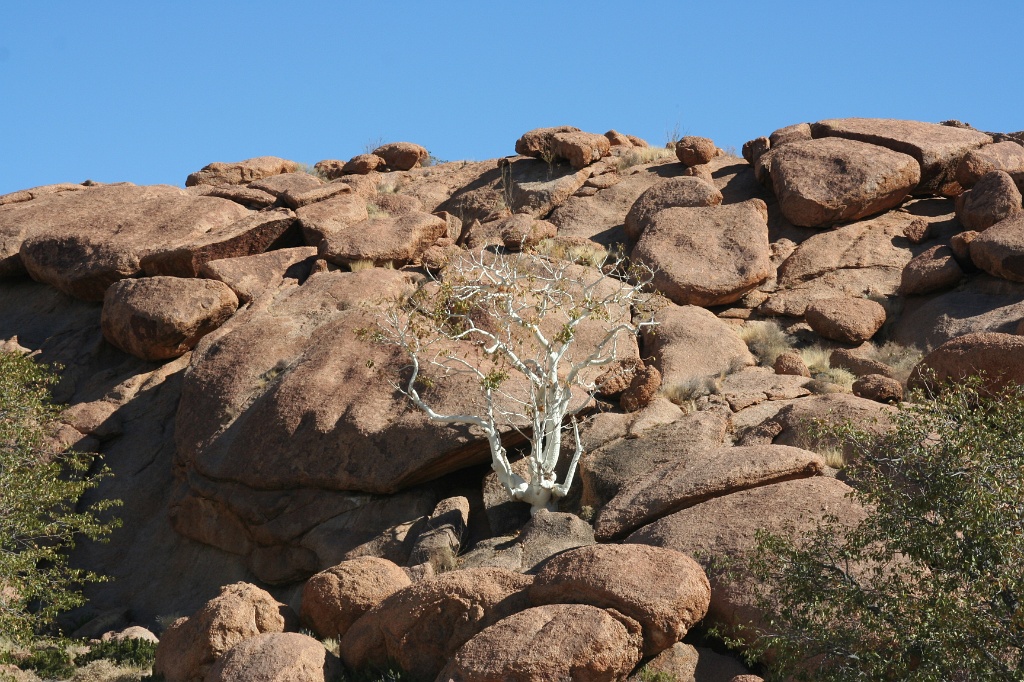 Namibia (21)